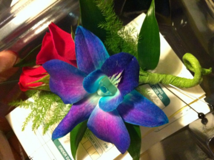 Blue Bom Orchid Boutonniere 