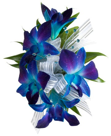 Blue Bom Orchid Wrist Corsage
