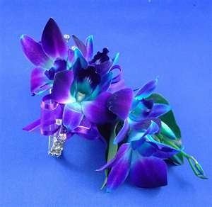 Blue Bom Orchid Wristlet Corsage