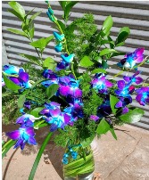 Blue Bomb Orchids! Vase Bouquet