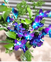 Blue Bomb Orchids! Vase Bouquet