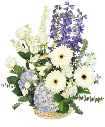 Blue Bundles of Joy Basket Arrangement in Stratford, ON | Flowers on York