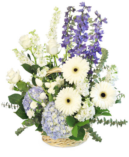 Blue Bundles Of Joy Basket Arrangement In Johnstown Pa Laportas Flowers And Ts 