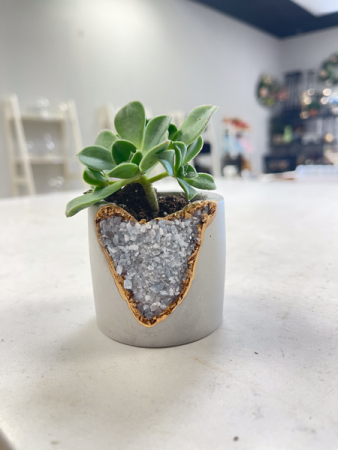 Blue Calcite Shooter Planter