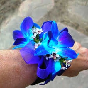 BLUE DENDROBIUM CORSAGE OR WRISTLET