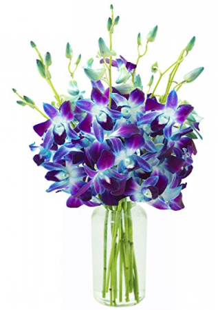 Blue Dendrobium Orchids Cut Orchid in a vase