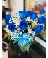 BLUE DOZEN ROSES 