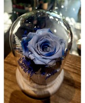 Blue Everlasting Rose  