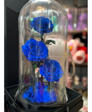 Blue everlasting roses 