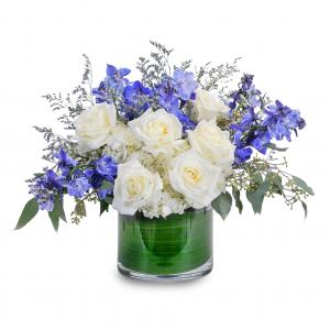 Blue Frost Arrangement in Barre, VT | Forget Me Not Flowers and Gifts LLC Blue Frost Arrangement in Barre, VT | Forget Me Not Flowers and Gifts LLC