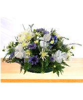 Blueberry Brunch Dish Arrangement 