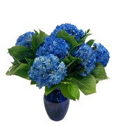 Blue Horizon Floral Arrangement