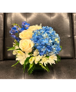 Blue Horizons Cube arrangement 