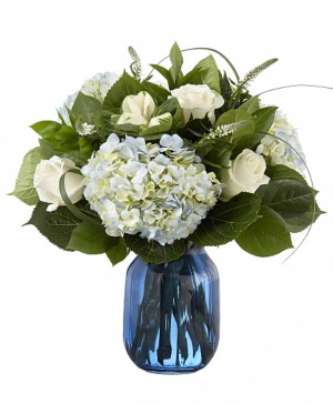 Blue hydrangea blooms  Vase 