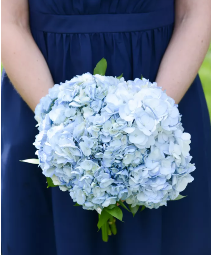 Blue Hydrangea Bouquet Wedding Party