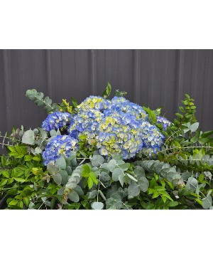 Blue Hydrangea Casket Spray Funeral Flowers