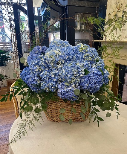 Blue Hydrangea Garden Basket