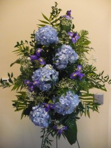 Category Image