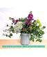Purchase this funeral home arrangement
