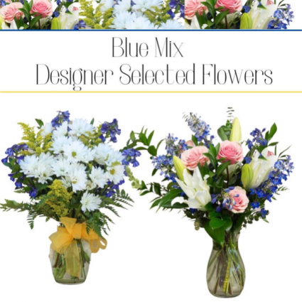 Blue Mix-Designer’s Choice