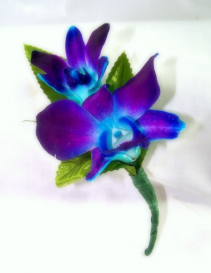 Blue Orchid Bout  