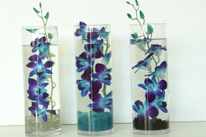 Blue Orchid Cylinder VBOC
