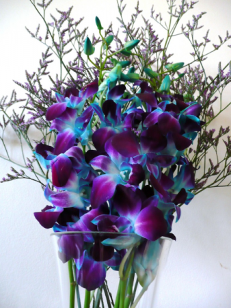 Blue Orchid Smile