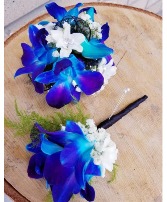 Blue Orchid With White Accent Wrist Corsage 