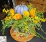 Blue Pumpkin Centerpiece  