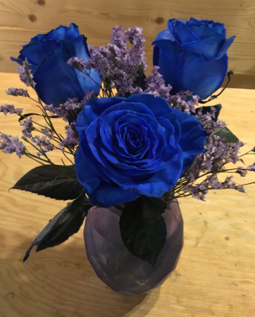 Blue Roses! 