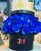 blue roses 
