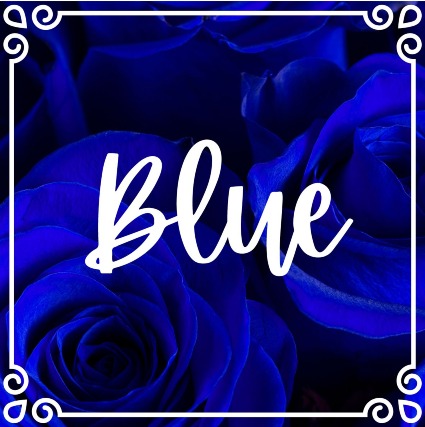 Blue Roses 