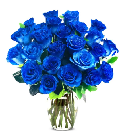 Blue Roses 