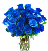 Blue Roses 