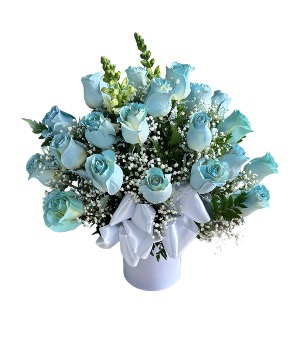 Blue roses 