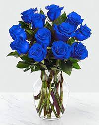 Blue roses arrangement (Limited) 