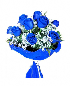 Blue Roses BA 