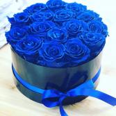 BLUE ROSES 