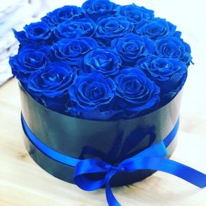 BLUE ROSES 