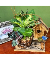 Blue Skies Planter Dishgarden 