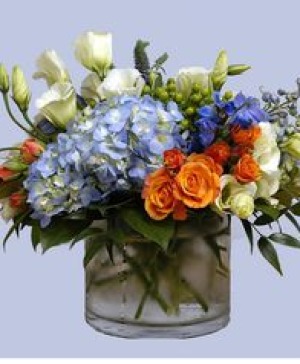 BLUE SKY AND ORANGE BLOSSOMS 