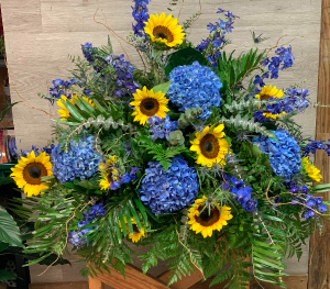Blue Sunflower  