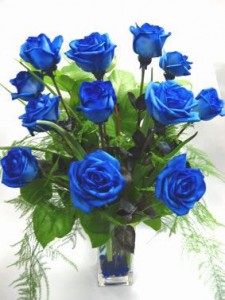 One Dz Blue Valentine's Day Roses!!!!  in Margate, FL | THE FLOWER SHOP OF MARGATE