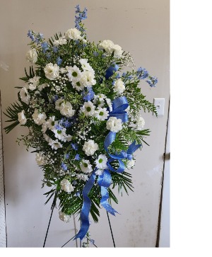 Blue with envy  