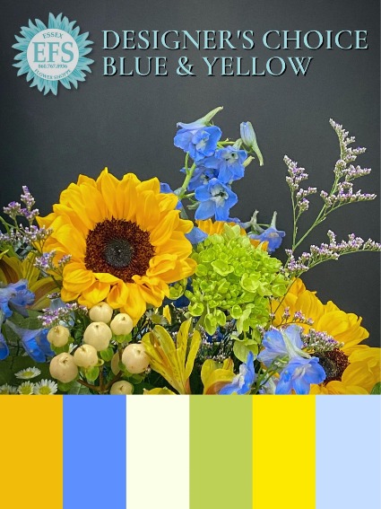 Blue & Yellow Designer's Choice Arrangement