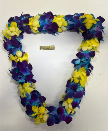 Blue & yellow Double Orchid lei in Oakland, CA | The Love Stop Flowers & Gifts Blue & yellow Double Orchid lei in Oakland, CA | The Love Stop Flowers & Gifts