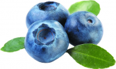 Blueberry Infused Balsamic Vinegar 