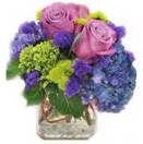 Blueberry Lavender Medley Cut Flowers