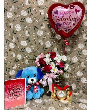 Blueberry pup sweet surprise package Valentine package deal