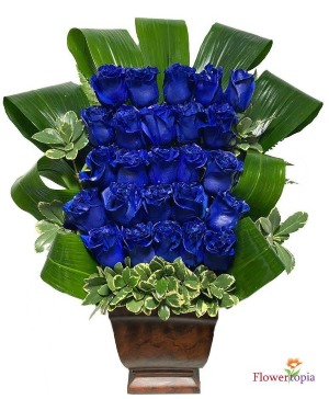 Bluemination  Blue Roses Bouquet